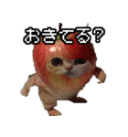 猫ミーム【りんご猫】シン（個別スタンプ：7）