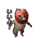 猫ミーム【りんご猫】シン（個別スタンプ：8）