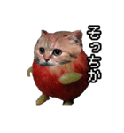 猫ミーム【りんご猫】シン（個別スタンプ：9）