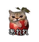 猫ミーム【りんご猫】シン（個別スタンプ：17）