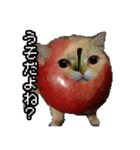 猫ミーム【りんご猫】シン（個別スタンプ：20）