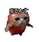 猫ミーム【りんご猫】シン（個別スタンプ：21）