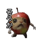 猫ミーム【りんご猫】シン（個別スタンプ：22）