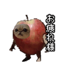 猫ミーム【りんご猫】シン（個別スタンプ：26）