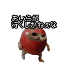 猫ミーム【りんご猫】シン（個別スタンプ：33）
