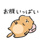 ふくよかボディのリチャードソンジリスさん（個別スタンプ：35）