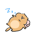 ふくよかボディのリチャードソンジリスさん（個別スタンプ：36）