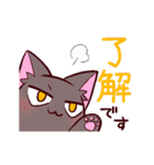 動く！三白眼ネコin日常（個別スタンプ：1）