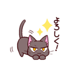 動く！三白眼ネコin日常（個別スタンプ：7）