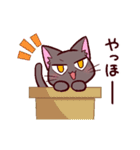 動く！三白眼ネコin日常（個別スタンプ：15）