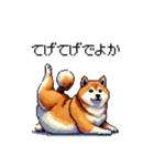 鹿児島弁の太っちょ柴犬（個別スタンプ：2）