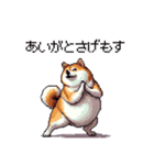 鹿児島弁の太っちょ柴犬（個別スタンプ：3）