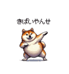 鹿児島弁の太っちょ柴犬（個別スタンプ：4）