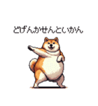 鹿児島弁の太っちょ柴犬（個別スタンプ：6）