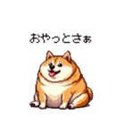 鹿児島弁の太っちょ柴犬（個別スタンプ：7）