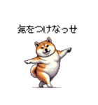 鹿児島弁の太っちょ柴犬（個別スタンプ：9）