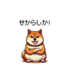 鹿児島弁の太っちょ柴犬（個別スタンプ：12）