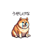 鹿児島弁の太っちょ柴犬（個別スタンプ：14）
