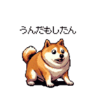 鹿児島弁の太っちょ柴犬（個別スタンプ：16）