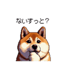 鹿児島弁の太っちょ柴犬（個別スタンプ：20）