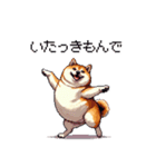 鹿児島弁の太っちょ柴犬（個別スタンプ：22）