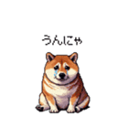 鹿児島弁の太っちょ柴犬（個別スタンプ：23）