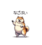 鹿児島弁の太っちょ柴犬（個別スタンプ：25）