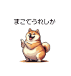 鹿児島弁の太っちょ柴犬（個別スタンプ：26）