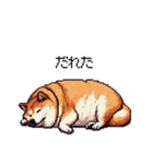 鹿児島弁の太っちょ柴犬（個別スタンプ：27）