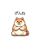 鹿児島弁の太っちょ柴犬（個別スタンプ：29）