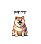 鹿児島弁の太っちょ柴犬（個別スタンプ：33）