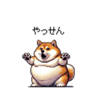 鹿児島弁の太っちょ柴犬（個別スタンプ：35）