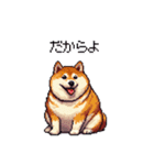 鹿児島弁の太っちょ柴犬（個別スタンプ：38）