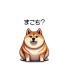 鹿児島弁の太っちょ柴犬（個別スタンプ：39）