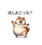 鹿児島弁の太っちょ柴犬（個別スタンプ：40）