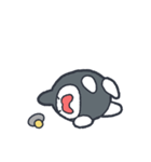 ミラクル！ワンダーザメさん（個別スタンプ：3）