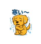 "チャイ"のハッピー・スタンプ No.1（個別スタンプ：22）
