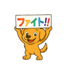 "チャイ"のハッピー・スタンプ No.1（個別スタンプ：37）