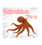仲良くしたいタコ(AIの力も借りちゃう)（個別スタンプ：13）