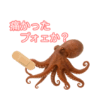 仲良くしたいタコ(AIの力も借りちゃう)（個別スタンプ：22）