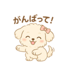 癒しのもふ犬スタンプ（個別スタンプ：6）