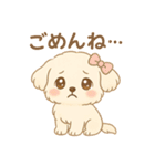 癒しのもふ犬スタンプ（個別スタンプ：8）