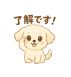 癒しのもふ犬スタンプ（個別スタンプ：10）