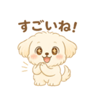 癒しのもふ犬スタンプ（個別スタンプ：11）