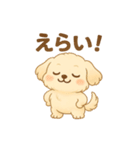 癒しのもふ犬スタンプ（個別スタンプ：16）