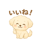 癒しのもふ犬スタンプ（個別スタンプ：19）