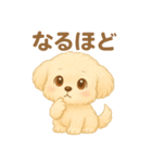 癒しのもふ犬スタンプ（個別スタンプ：21）