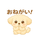 癒しのもふ犬スタンプ（個別スタンプ：25）