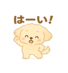 癒しのもふ犬スタンプ（個別スタンプ：36）