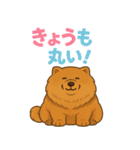 ポジティブチャウチャウ⭐︎元気スタンプ（個別スタンプ：2）